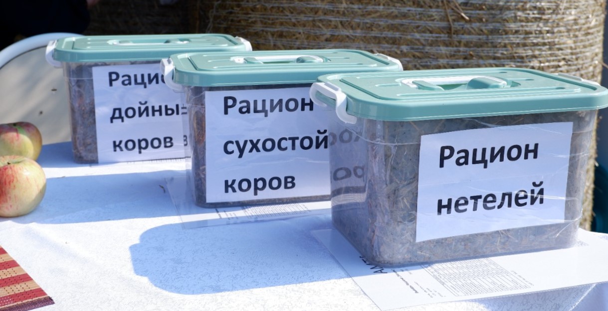 Корм 1